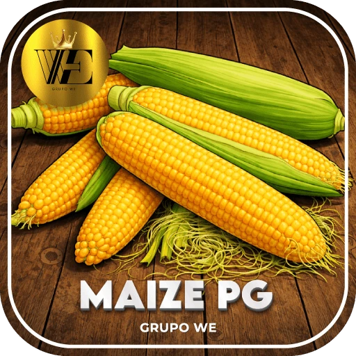 MAIZE PG Logo